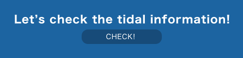 Let's check the tidal information
